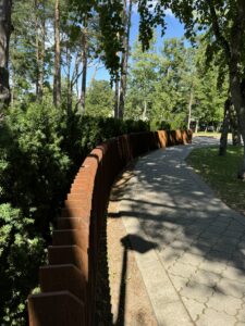 IMG_8761